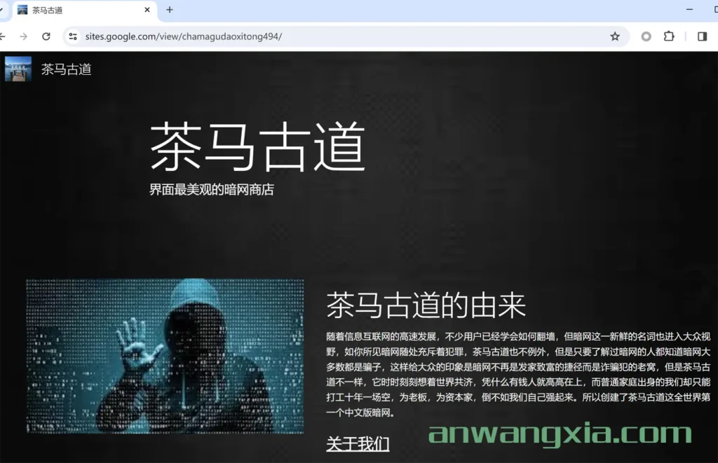 小心，新出现的暗网“茶马古道”原来只是个低级诈骗网站
