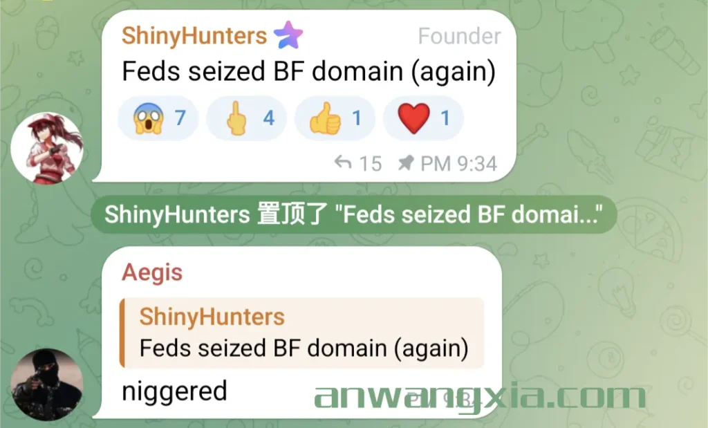 暗网论坛breachforums的明网域名被FBI短暂查封后，恢复正常