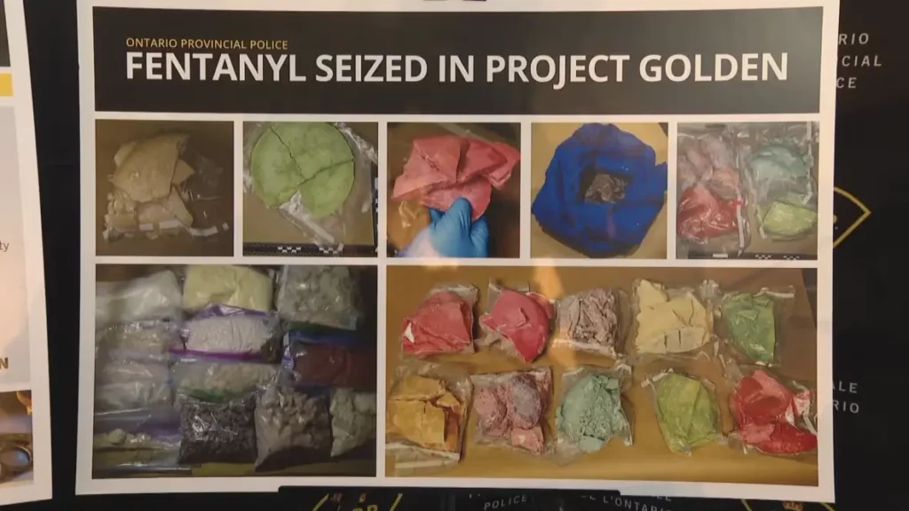 加拿大安大略省警方发起“仿生计划”与“黄金计划”执法行动，捣毁暗网毒品交易市场