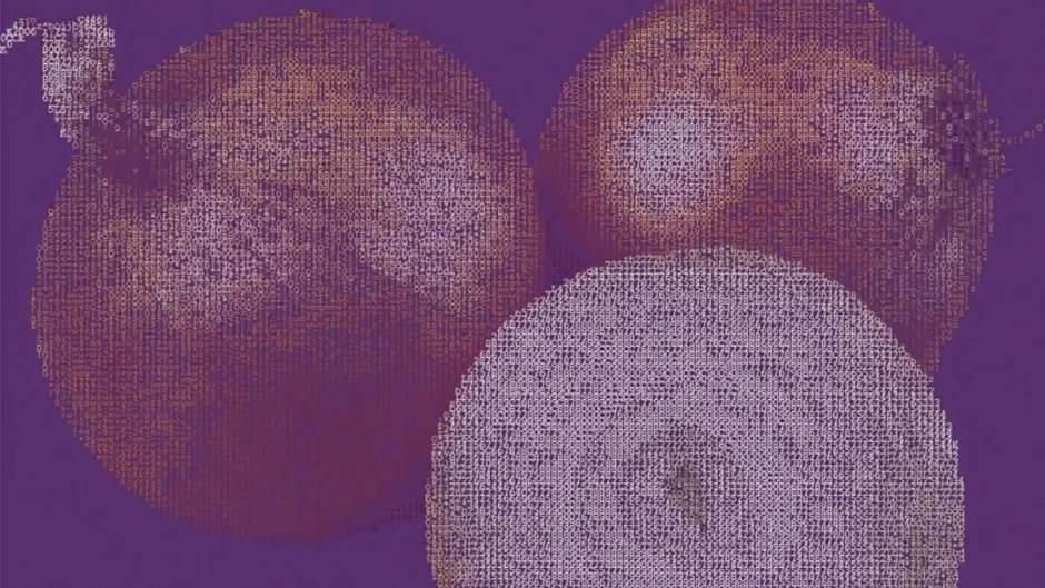 Tor官方发布公告称，墨西哥政府部分解除对Tor网络的封锁